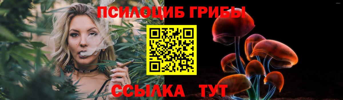 Псилоцибиновые грибы мухоморы  Вход с VPN  Новодвинск  Галлюциногенные грибы GOLDEN TEACHER 